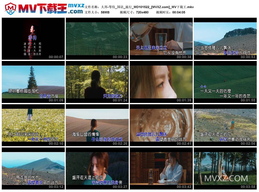 大邦-等待_国语_流行_MD101522